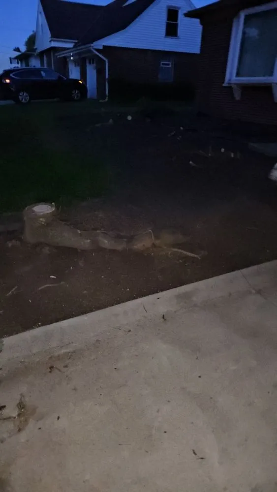 Trusted garden landscaping experts serving Warrensville Heights, OH - Bright Diamond