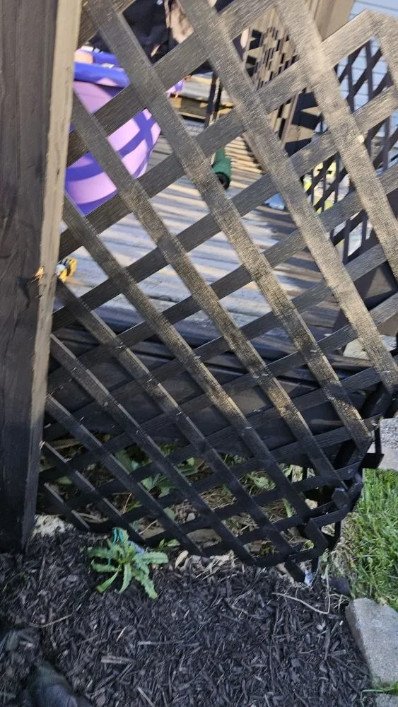 Local yard cleanup service for beautiful yards in Warrensville Heights, OH by Bright Diamond