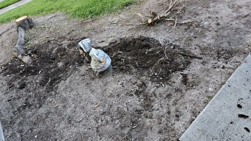 Expert yard maintenance in Warrensville Heights, OH by Bright Diamond