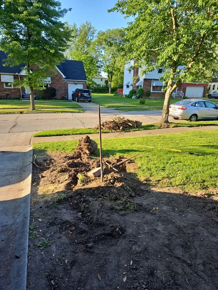 Top-rated lawn care service in Warrensville Heights, OH - Bright Diamond