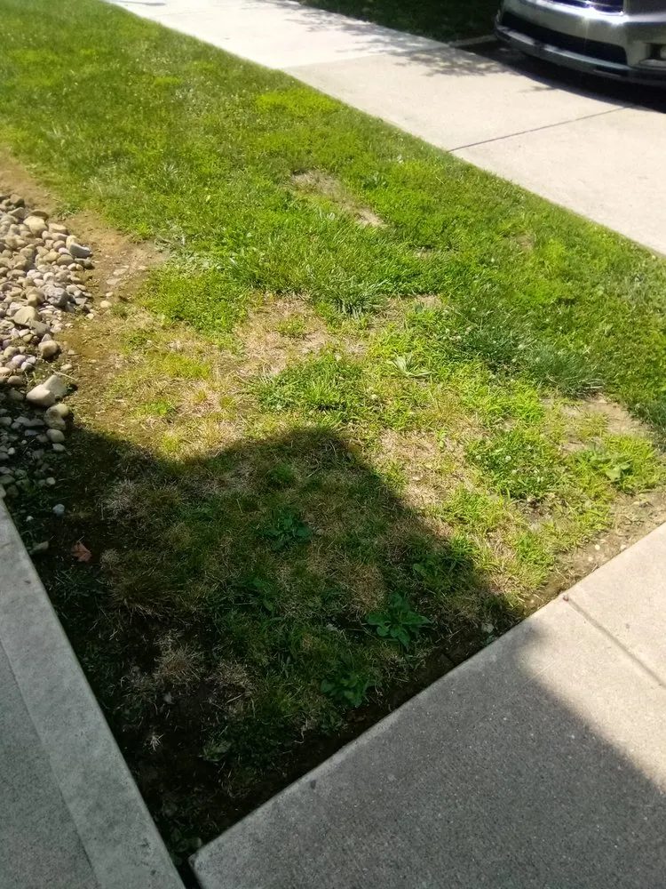 Local garden landscaping in Elgin, IL by Bright Green Landscapes