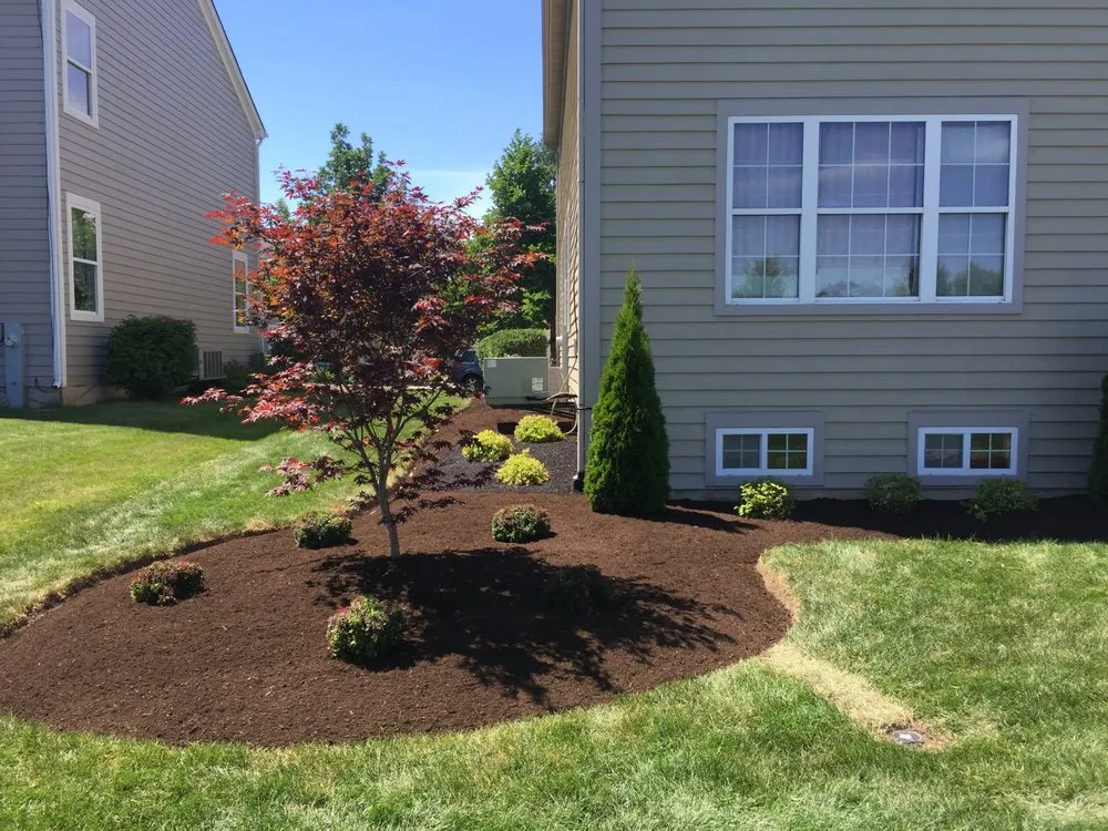 Local lawn mowing service in Elgin, IL - Bright Green Landscapes