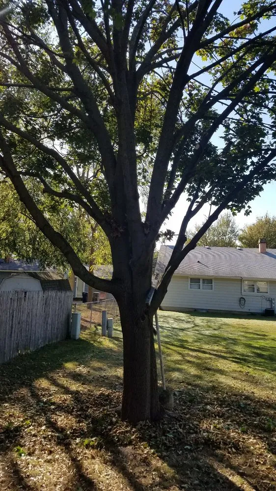 Top-rated yard maintenance with custom design across Elgin, IL - Bright Green Landscapes