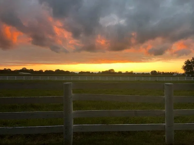 Expert residential landscaping experts serving Elgin, IL - Bright Green Landscapes