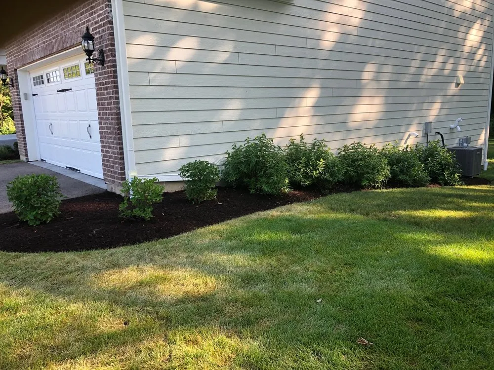 Professional lawn care service for homes across Elgin, IL - Bright Green Landscapes