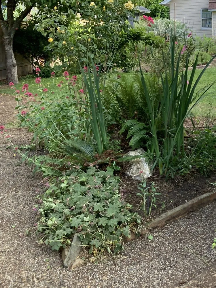 Local residential landscaping with custom design across Tigard, OR - Bright Green Landscaping