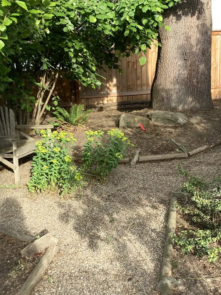 Top-rated garden landscaping near you in Tigard, OR by Bright Green Landscaping