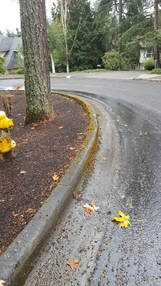 Reliable landscape installation in Tigard, OR - Bright Green Landscaping