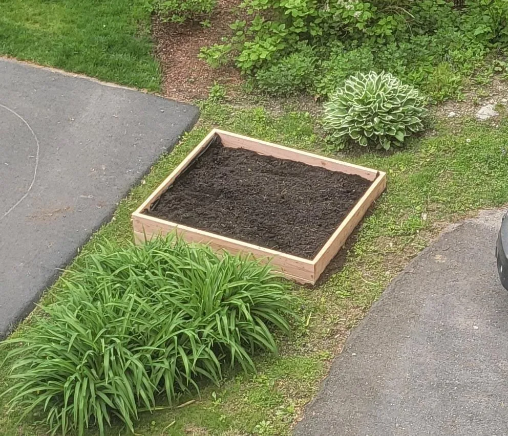 Affordable landscaping services experts serving Waltham, MA - Bright Green