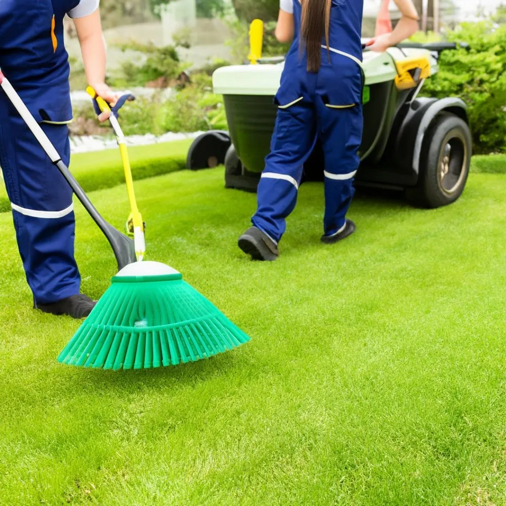 Reliable garden landscaping near you across Waltham, MA - Bright Green