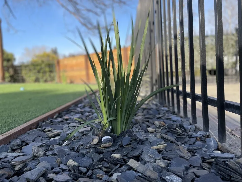 Professional lawn care service in Sacramento, CA - Bright Home Landscapes