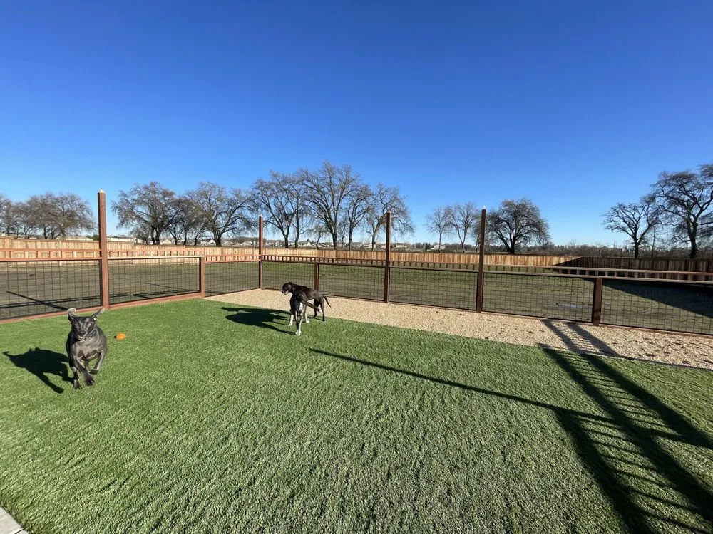 Expert landscaping services for year-round maintenance in Sacramento, CA by Bright Home Landscapes