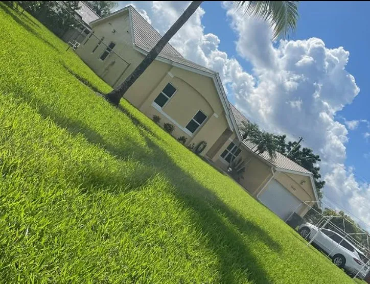 Reliable yard cleanup service for residential properties across Homestead, FL - Bright Horizon Landscape