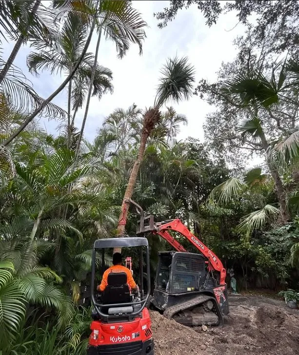 Professional outdoor landscaping with custom design across Homestead, FL - Bright Horizon Landscape