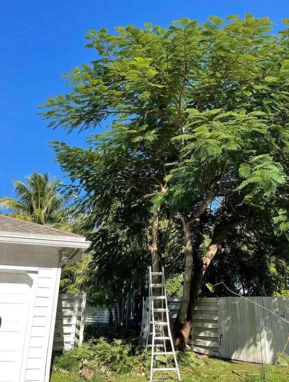 Local landscape installation experts serving Homestead, FL - Bright Horizon Landscape