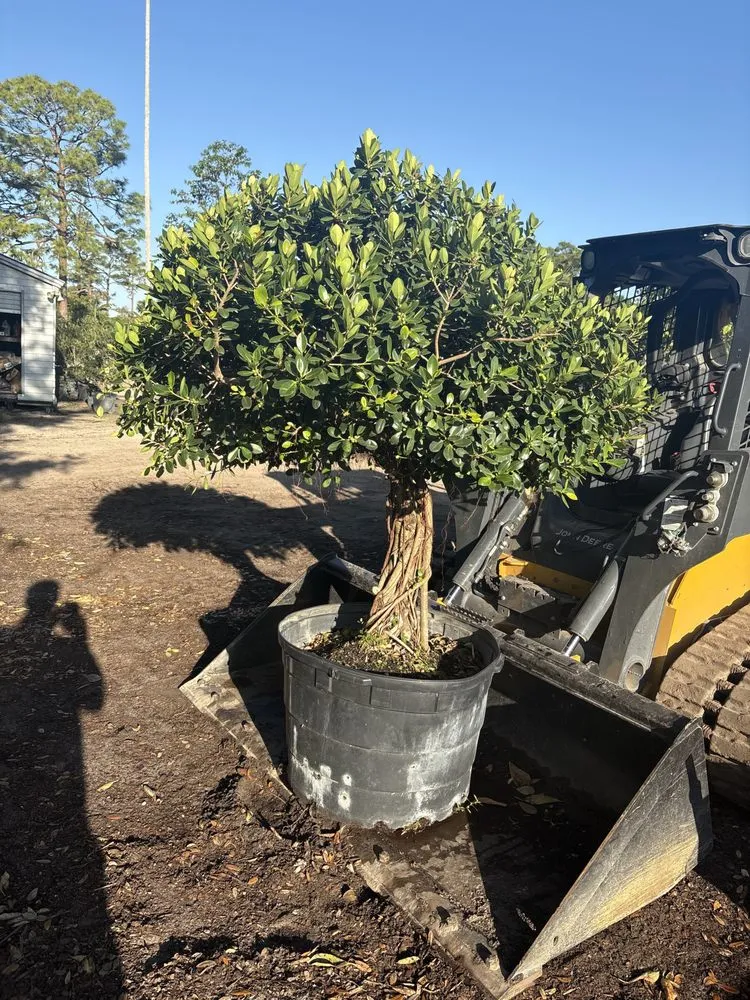 Top-rated landscaping services in Homestead, FL - Bright Horizon Landscape