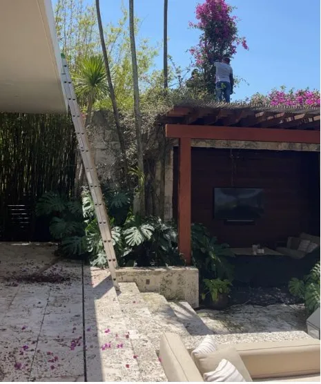 Professional residential landscaping in Homestead, FL - Bright Horizon Landscape