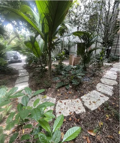 Reliable yard cleanup service for residential properties across Homestead, FL - Bright Horizon Landscape