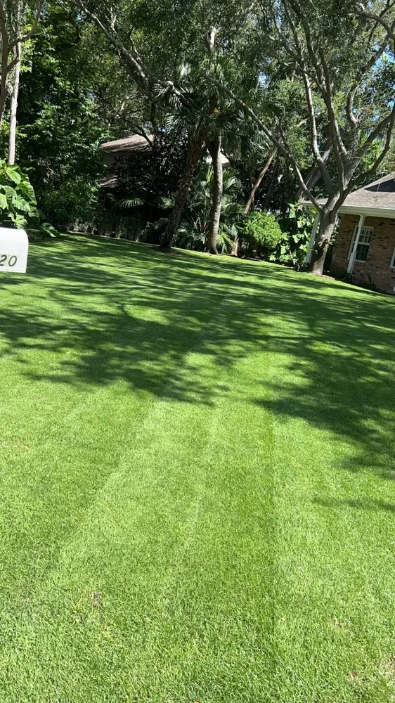 Reliable garden landscaping in Homestead, FL - Bright Horizon Landscape