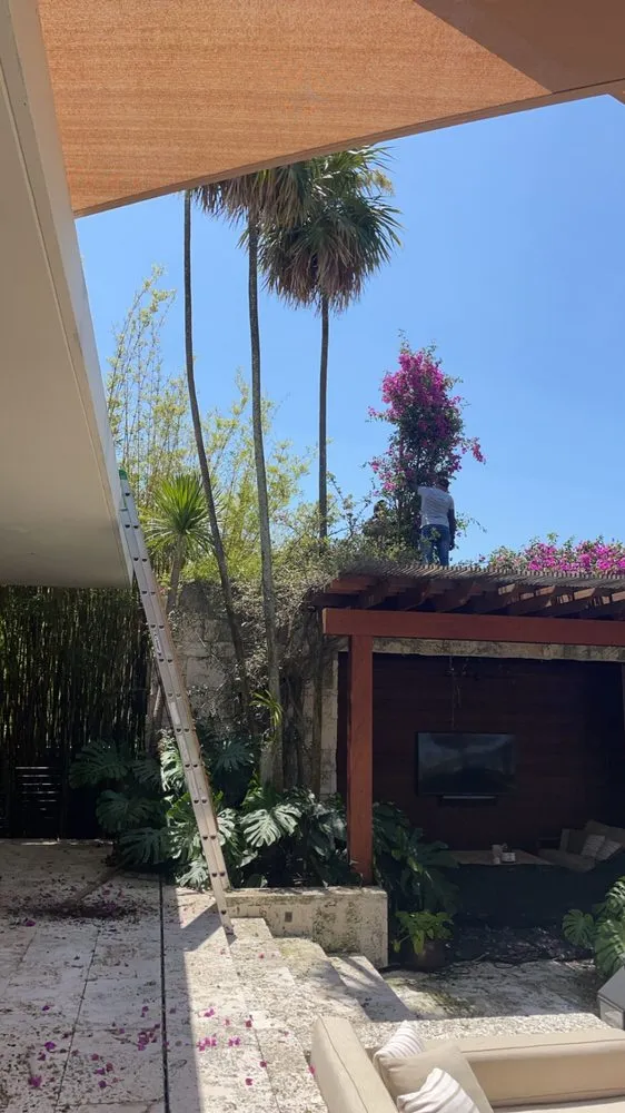 Top-rated yard cleanup service experts serving Homestead, FL - Bright Horizon Landscape