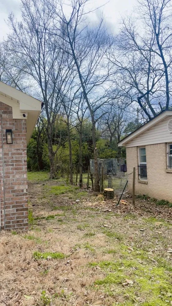 Professional landscape design in Little Rock, AR - Bright House Cleaning & Landscaping Service