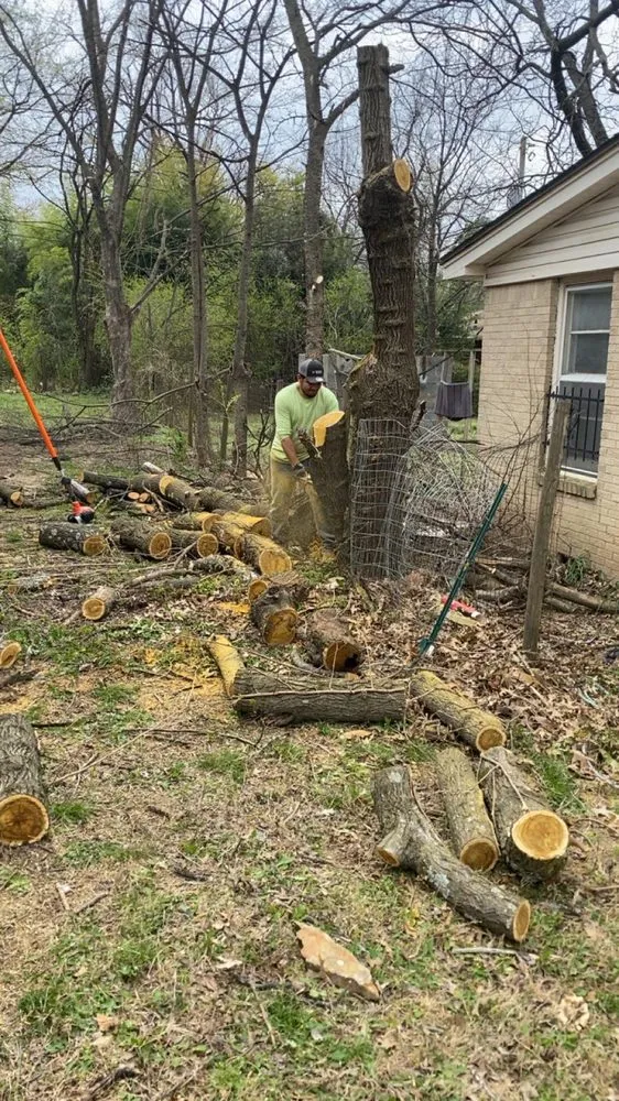 Top-rated landscape installation with custom design across Little Rock, AR - Bright House Cleaning & Landscaping Service
