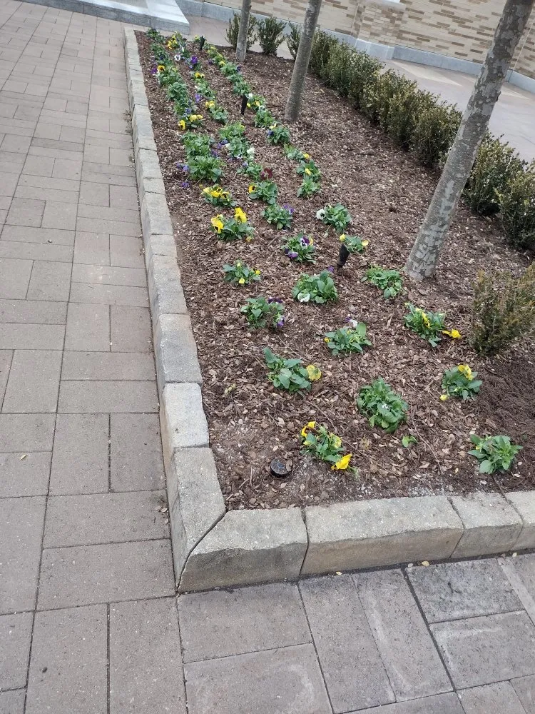 Local yard maintenance for outdoor upgrades across Maynardville, TN - Bright Landscaping & Concrete