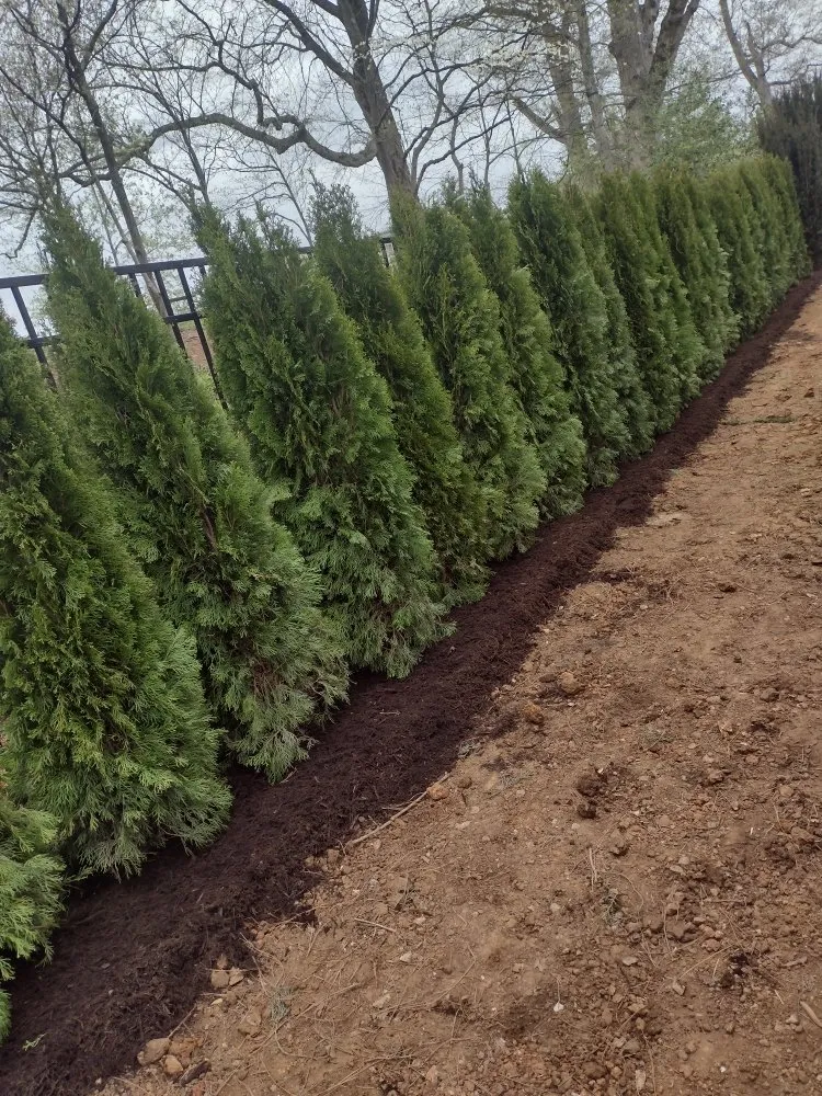 Trusted landscaping services with custom design across Maynardville, TN - Bright Landscaping & Concrete