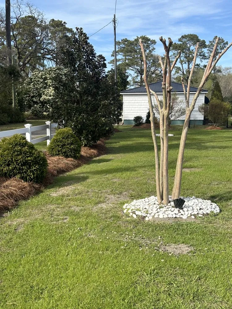 Trusted landscape installation in Washington, NC - Bright Landscaping & Lawn Service