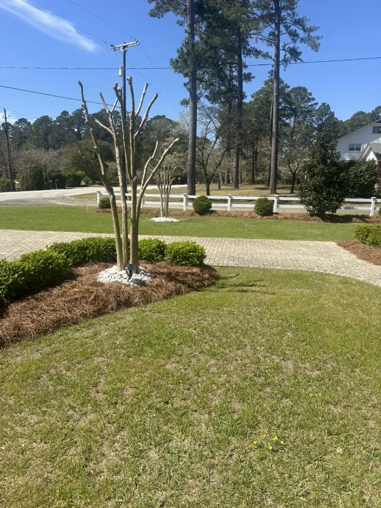 Expert landscape design for year-round maintenance in Washington, NC by Bright Landscaping & Lawn Service