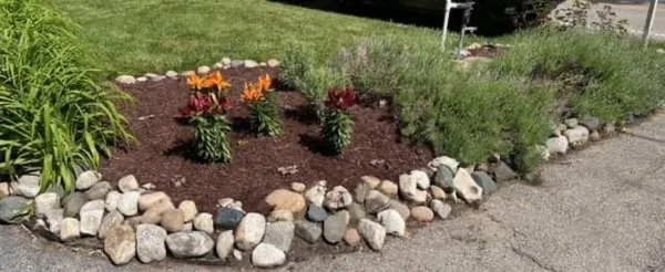 Bright Lawn and Landscape