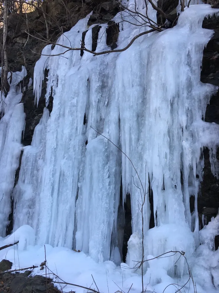 Local landscape installation in Lynn, MA - Bright lawn care