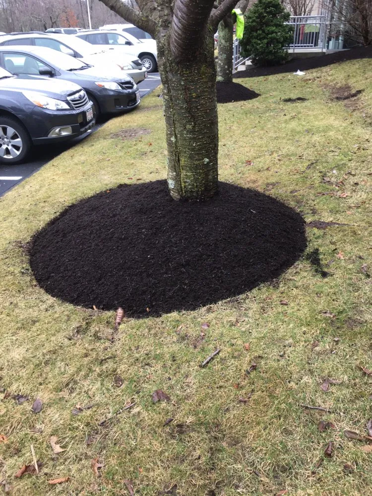 Trusted landscape design for residential properties in Lynn, MA by Bright lawn care