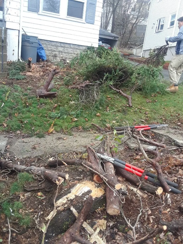 Local lawn care service in Lynn, MA by Bright lawn care