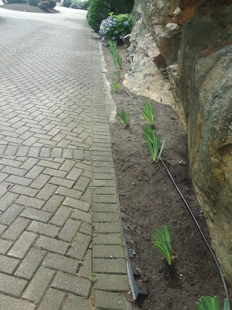 Local lawn care service experts serving Lynn, MA - Bright lawn care