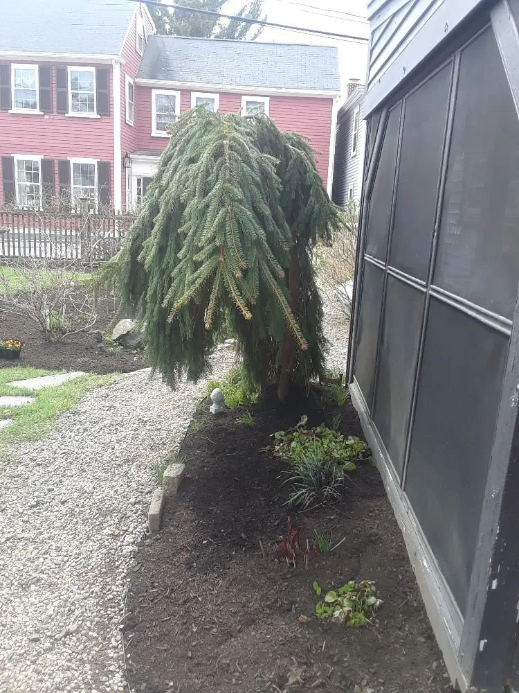 Top-rated outdoor landscaping experts serving Lynn, MA - Bright lawn care