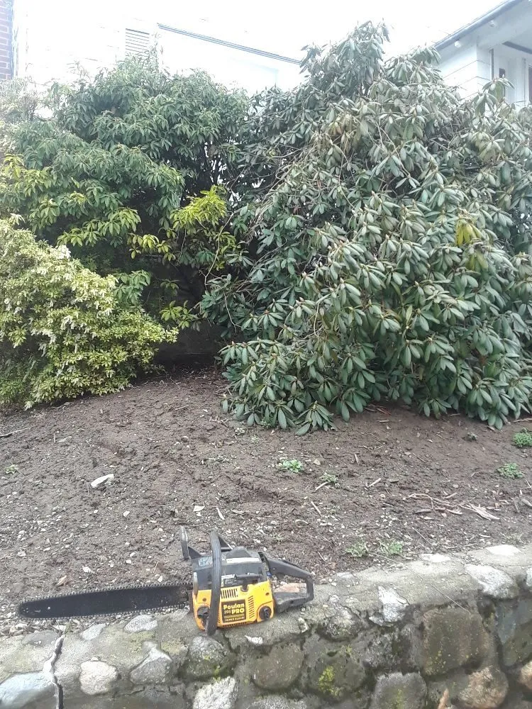 Reliable landscape design in Lynn, MA - Bright lawn care