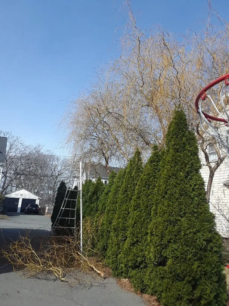 Custom garden landscaping in Lynn, MA by Bright lawn care