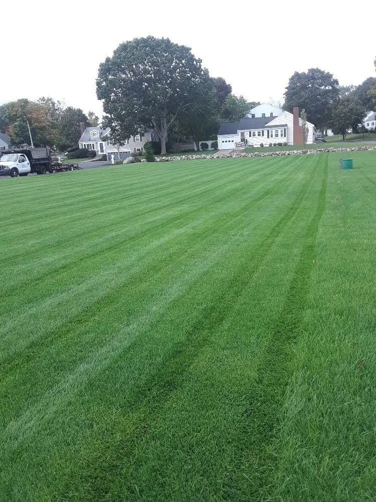 Affordable garden landscaping in Lynn, MA by Bright lawn care