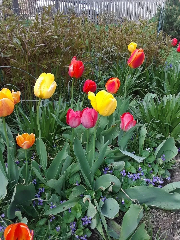 Trusted garden landscaping experts serving Lynn, MA - Bright lawn care