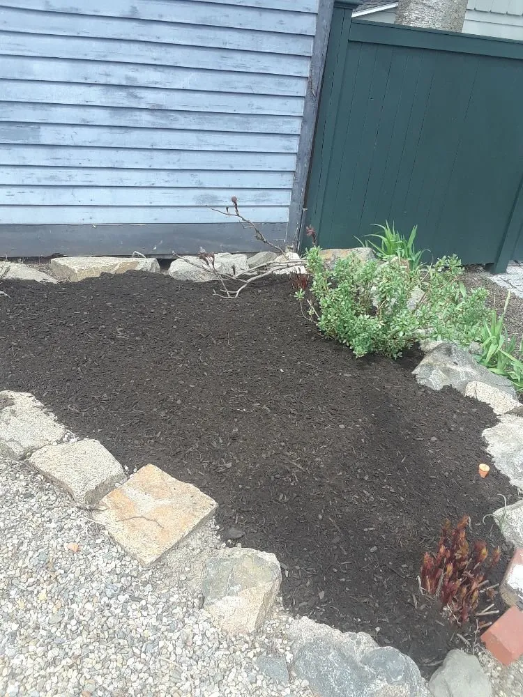 Professional landscape design in Lynn, MA - Bright lawn care