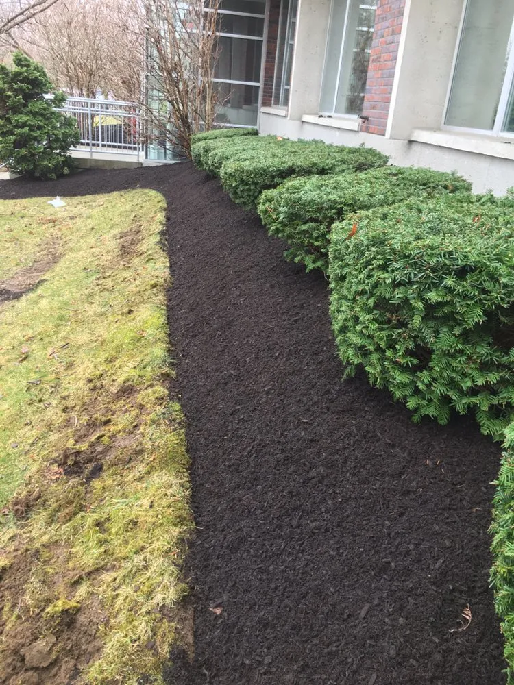 Top-rated outdoor landscaping in Lynn, MA by Bright lawn care