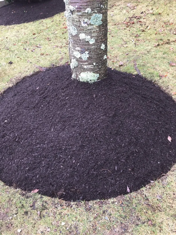 Professional landscape installation for year-round maintenance in Lynn, MA by Bright lawn care