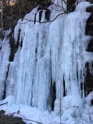 Bright lawn care Logo