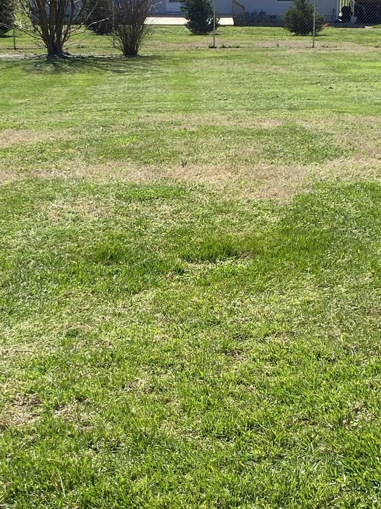 Trusted landscaping services near you in Maryville, TN by Bright Lawn Care