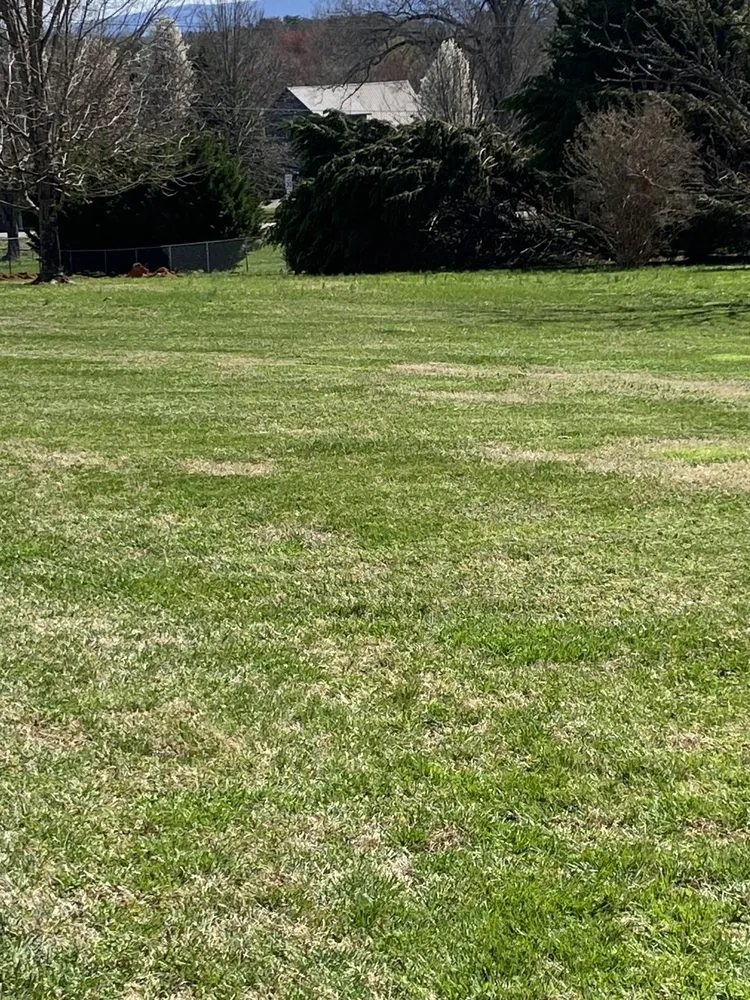 Expert yard cleanup service in Maryville, TN by Bright Lawn Care