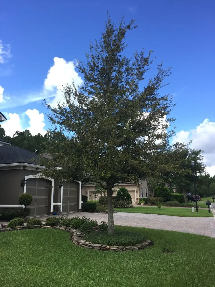 Custom yard cleanup service in Jacksonville, FL by Bright Lawncare
