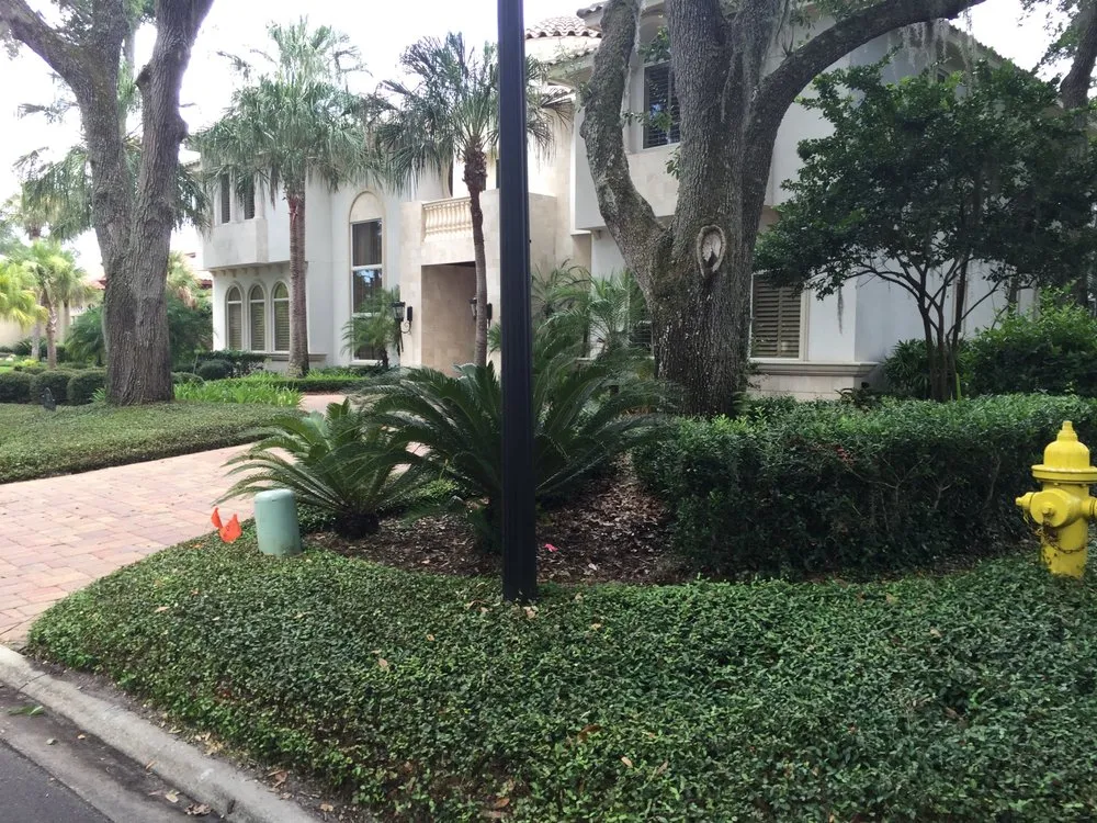 Professional yard cleanup service in Jacksonville, FL by Bright Lawncare