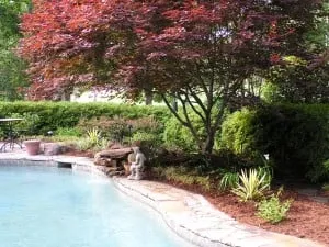 Expert lawn care service in Durham, NC by Bright Leaf Landscaping