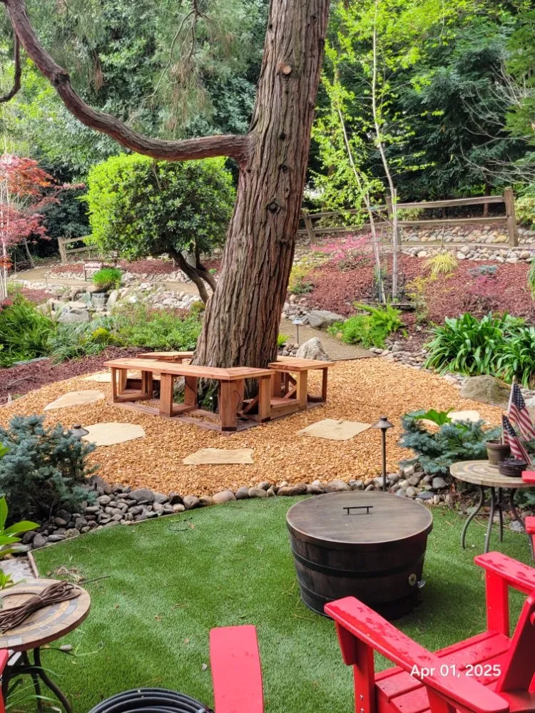 Affordable yard cleanup service experts serving Orangevale, CA - Bright Life Landscaping